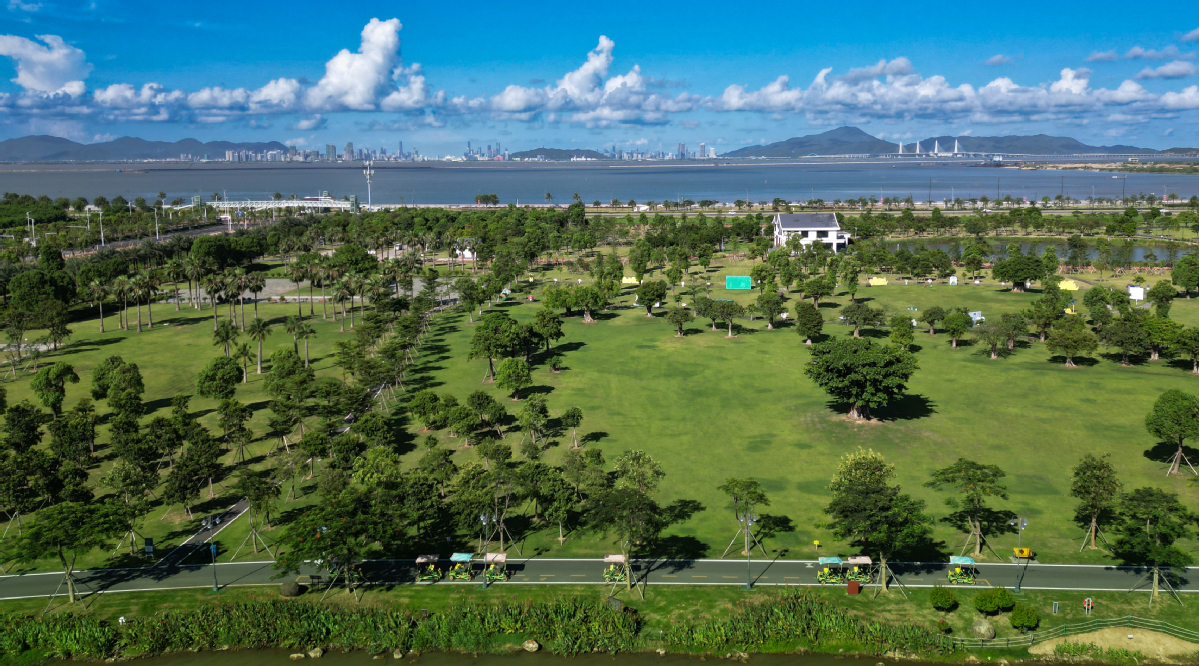 金湖公园大草坪湖景