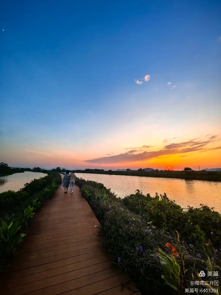 金湾中心河湿地公园栈道